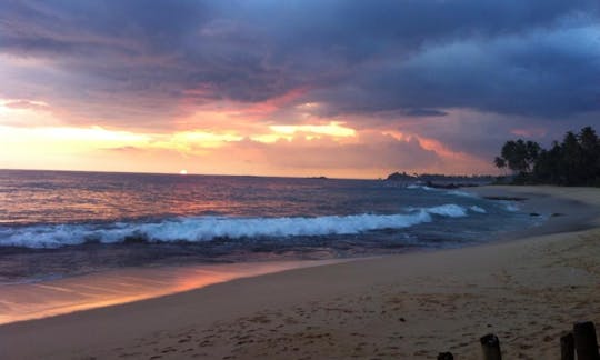 Learn to Surf with Kamal in Unawatuna, Sri lanka