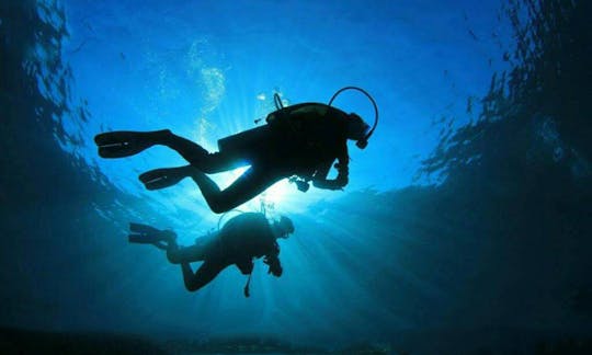 Underwater Baptism and Advanced Diver Course in La Ligua, Chile