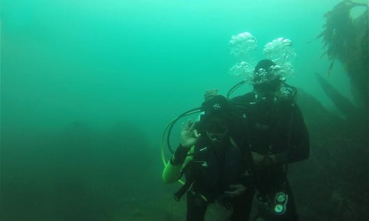 Underwater Baptism and Advanced Diver Course in La Ligua, Chile