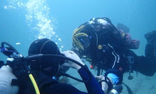 Discover Another World with our PADI Professional Instructor in Los Vilos, Chile