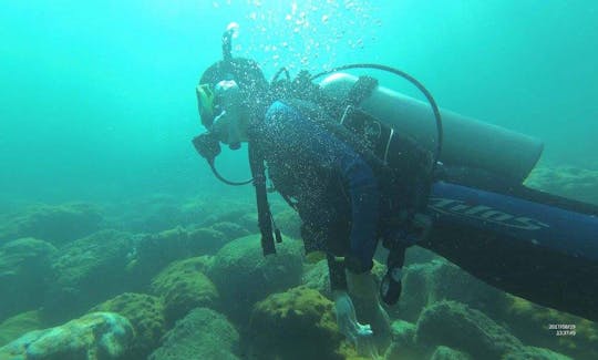 Let's Dive with the Professionals in Posadas, Argentina