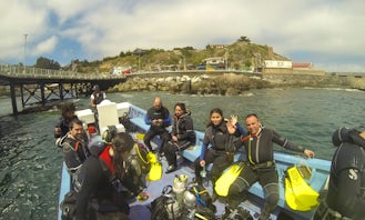 Begin Your Diving Adventure With Us!