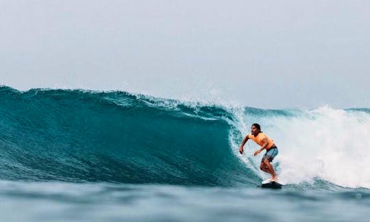 Learn Surfing the Waves with a Private Instructor in Unawatuna, Sri Lanka