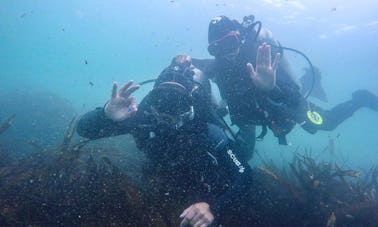 Learn Scuba Diving in Santiago, Chile with a Certified Instructor