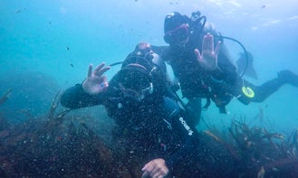Learn Scuba Diving in Santiago, Chile with a Certified Instructor