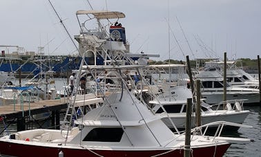 Luxury Bertram 31 Sport Fishing Charter in Port of San Jose, Guatemala | Day charters  All-inclusive Plans