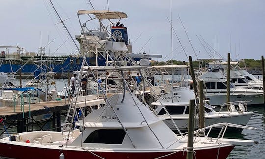 Bertram 31 one of the most famous sportfishing boats ever built.