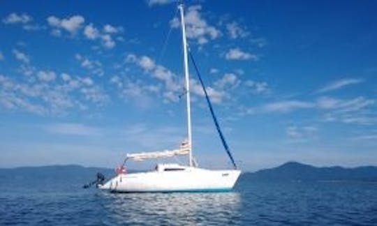 Let's Enjoy Sailing in Santa Catarina, Brazil