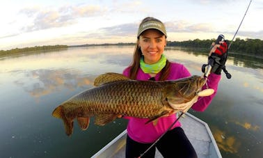 Férias de pesca com acomodação em chalé por 6 dias em Alta Floresta, Brasil