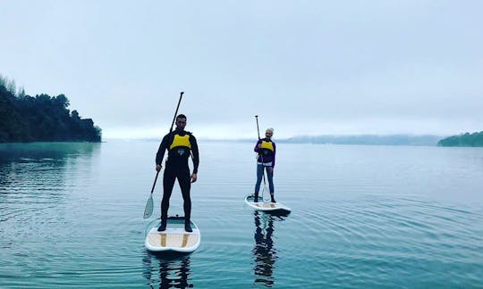 Paddle Board Rotorua provide epic paddle board tours in Rotorua NZ