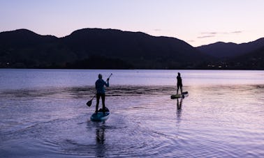 Paddle Board Glow Worm Tour