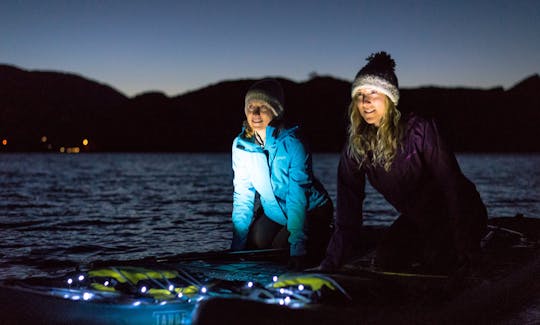 Searching for Glow Worms as it gets Dark