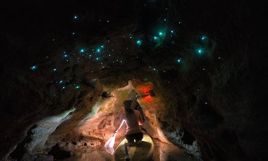 Amazing Glow Worms