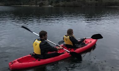 Tour geotérmico guiado en kayak en Rotorua, Nueva Zelanda