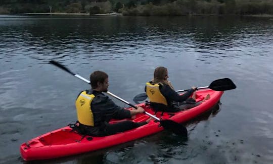 2+ 1 kayak for hire rotorua new zealand