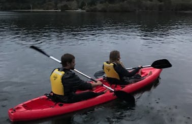 Guided Kayak Geothermal Tour in Rotorua, New Zealand