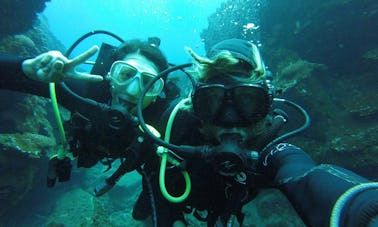 Se ofrece un viaje privado de buceo en Isla de Pascua, Chile