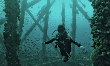 Se ofrece un viaje de buceo en Piura, Perú con un instructor profesional