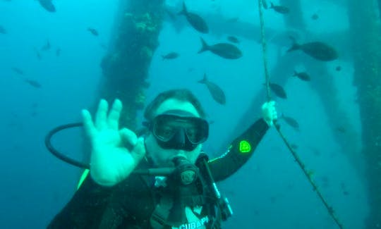 Scuba Diving Trip Offered in Piura, Peru with Professional Instructor