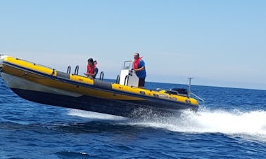 Location d'un RIB Bwa America de 25 pieds pour 14 personnes à Peniche, Portugal