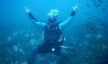 Diving Trip and Courses with Certified Instructors Offered in Guanacaste, Costa