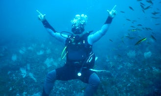 Diving Trip and Courses with Certified Instructors Offered in Guanacaste, Costa