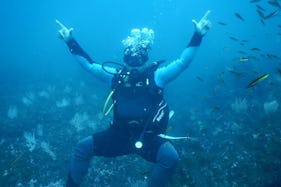 Diving Trip and Courses with Certified Instructors Offered in Guanacaste, Costa