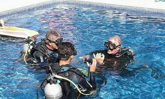 Diving Trip and Courses with Certified Instructors Offered in Guanacaste, Costa