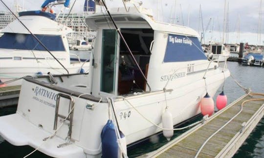 25’ Starfisher Fishing Yacht in Ponta Delgada