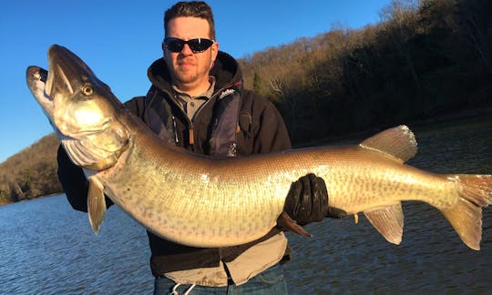 Tennessee State Record Musky