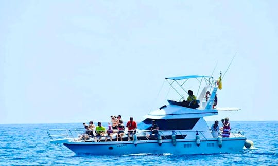 Charter a 35 ft Luxury Motor Yacht for 12 People in Las Galletas, Spain