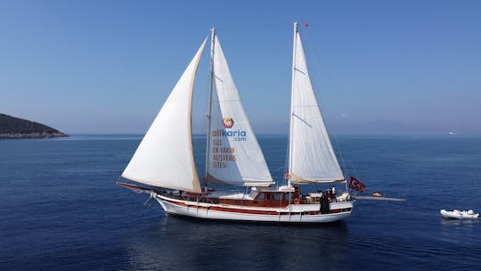 KARYALI Sailing Gulet 28 m-8 Cabins-16 Person Capacity-Bodrum, Mugla, Turkey