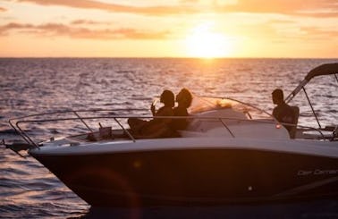 Charter a boat in Albion Club Med, Mauritius for fishing, whale watching, and other cruising