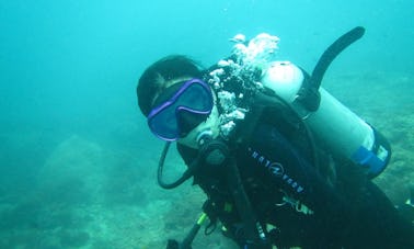 Learn Scuba Diving with Professional PADI Certified Instructors in Phuket, Thailand
