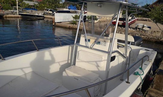 24' Seapro 235 CC Powered 250 Hp Four Stroke Outboard - San Pedro, Belize
