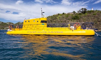 Submarine Tours For Up To 22 Person in St. Barths