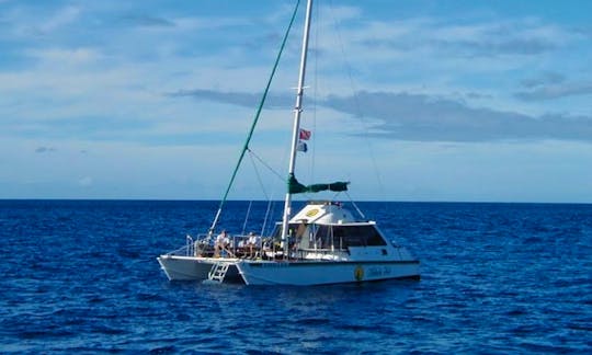 40ft Luxury Catamaran for Honolulu Adventures