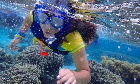 Fantastic Snorkeling Trip In San Miguel De Cozumel, Mexico!