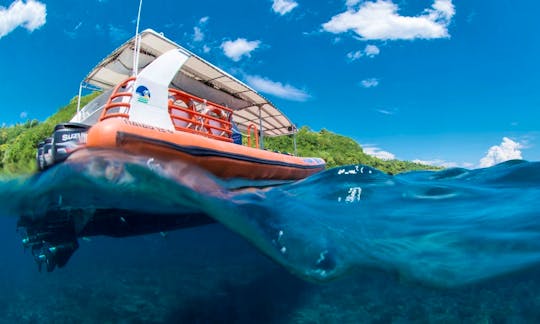 Rigid Inflatable Boat High Speed Ocean Rafting