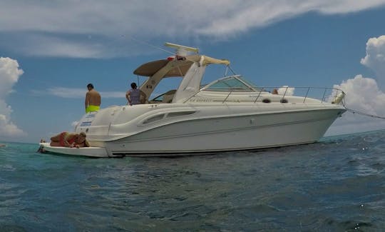 Luxury Recreational Fishing Tour For Groups And Families From Cancun And Isla Mujeres for up to 12 people