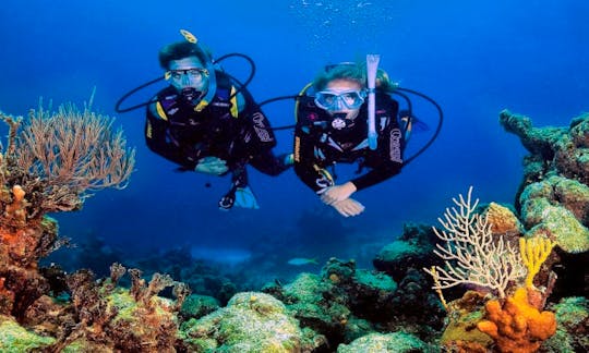 Introduction to Scuba Diving (For 8 Years Old and Above) in Hurghada