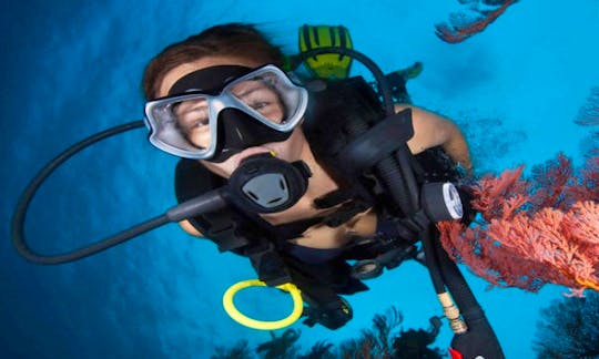 Introduction to Scuba Diving (For 8 Years Old and Above) in Hurghada