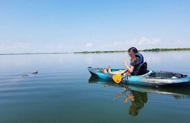 Relax, Learn And Explore As You Paddle With Us At Cocoa Kayaking!