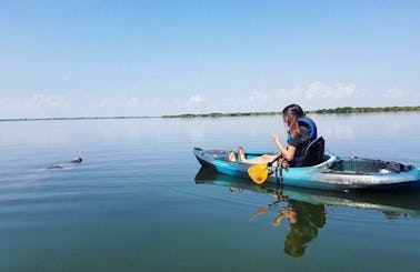 Relax, Learn And Explore As You Paddle With Us At Cocoa Kayaking!