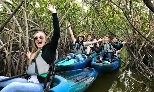 Thousand Islands Mangrove Tunnel Tour! Possible Sightings of West Indian Manatees, Bottlenose Dolphins and Floridian Exotic Birds!