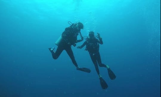 Discover the Magnificent Coral Reefs in Nusa Penida, Indonesia!