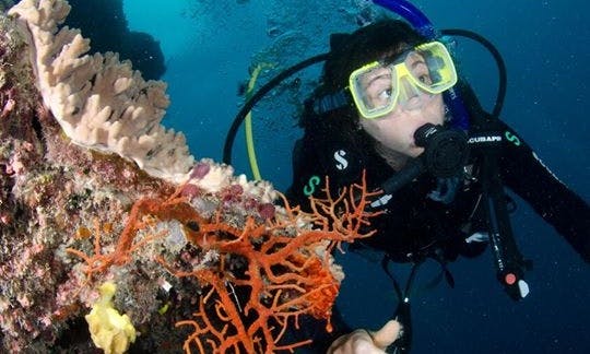 Discover the Magnificent Coral Reefs in Nusa Penida, Indonesia!