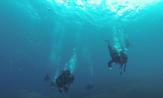 Discover the Magnificent Coral Reefs in Nusa Penida, Indonesia!