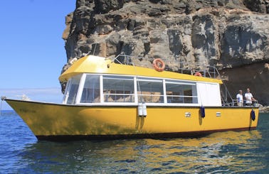 Private Groups Yellow Boat Mogan Boat & Snorkeling Excursions