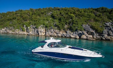 Charter 45' Sea Ray Motor Yacht in US Virgin Islands